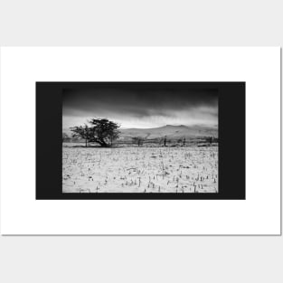 Pen y Fan and Corn Du from Mynydd Illtyd, Brecon Beacons Posters and Art